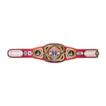 Washington Wizards WWE Legacy Title Belt