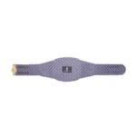 Washington Wizards WWE Legacy Title Belt