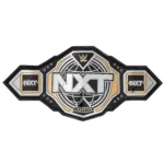 WWE NXT Championship 2024 Replica Title Belt