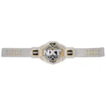 WWE NXT Women's Championship 2024 Replica Title Belt